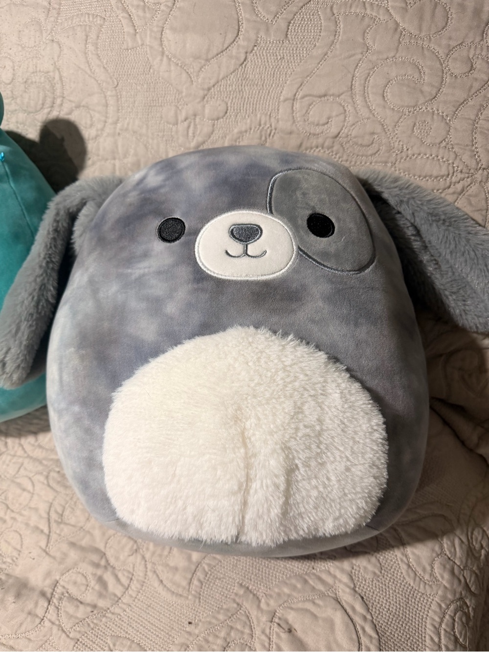 Squishmallows Gray and White Puppy